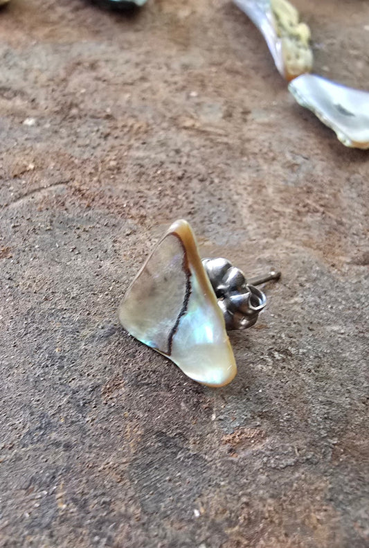 Abalone stud earring